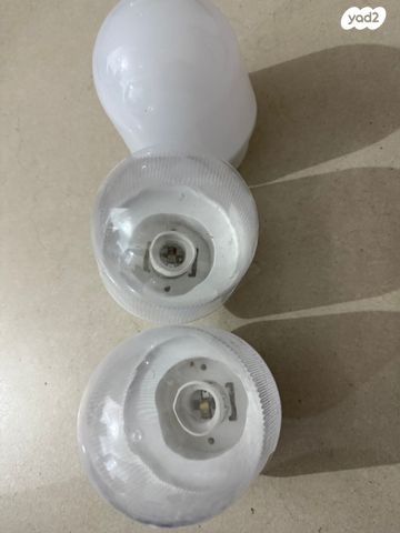 מנורה