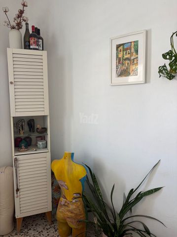 ארונית