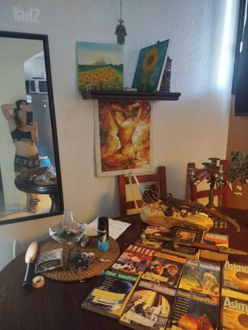 FICTION-Science -  Fantasy--
