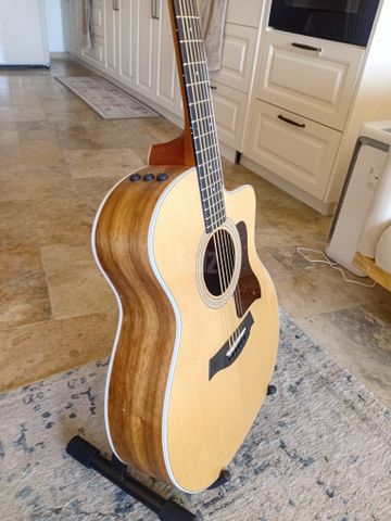 taylor 214cek טיילור