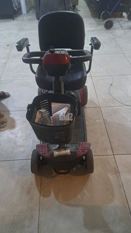 קלנועיות