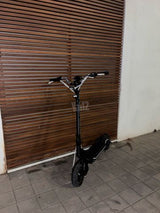 Teverun pighter mini
