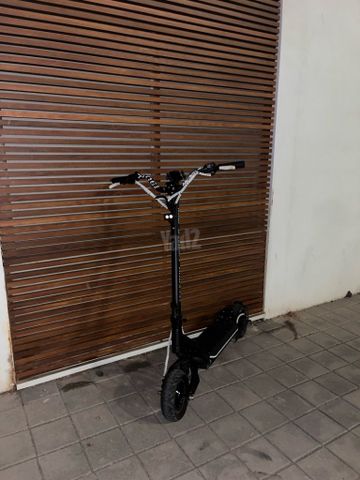 Teverun pighter mini