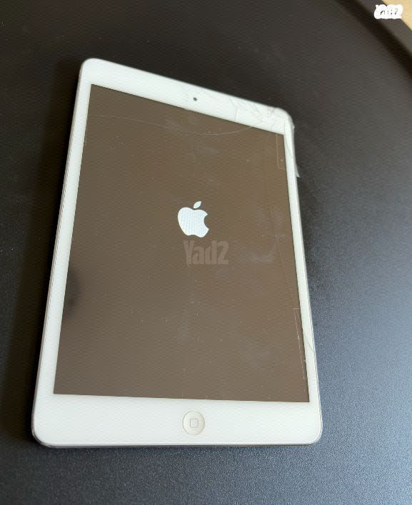 iPad mini