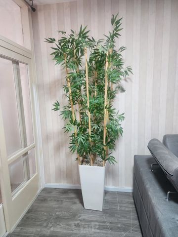 עציץ פלסטיק