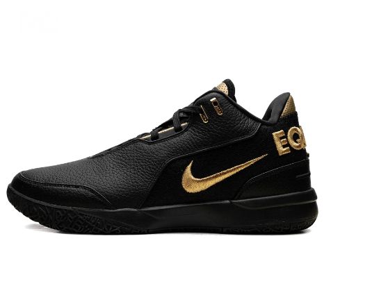 Nike LeBron NXXT Gen FJ1566103