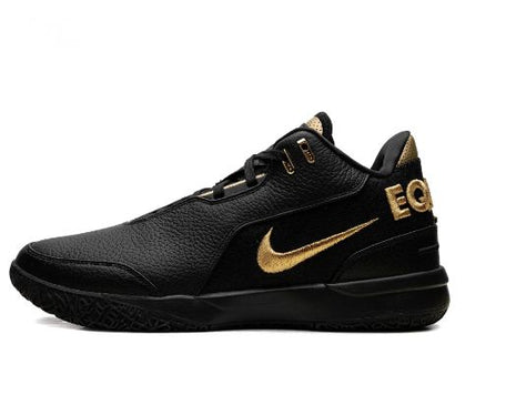 Nike LeBron NXXT Gen FJ1566103