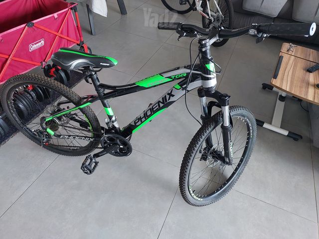 אופני Phoenix Raptor