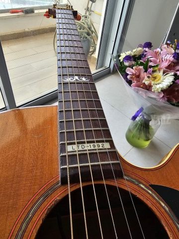 Takamine LTD 1992