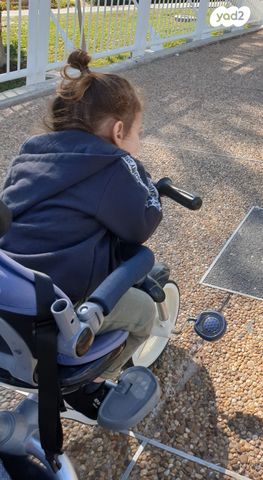 תלת אופן לפעוט