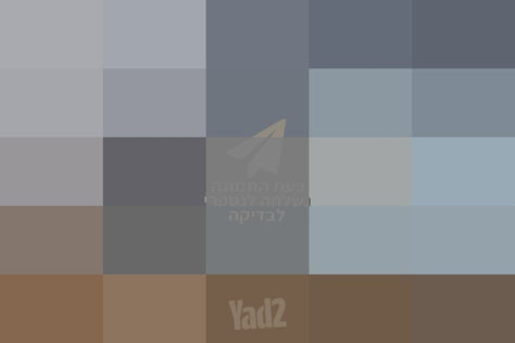 גיטרה קורט SKOP