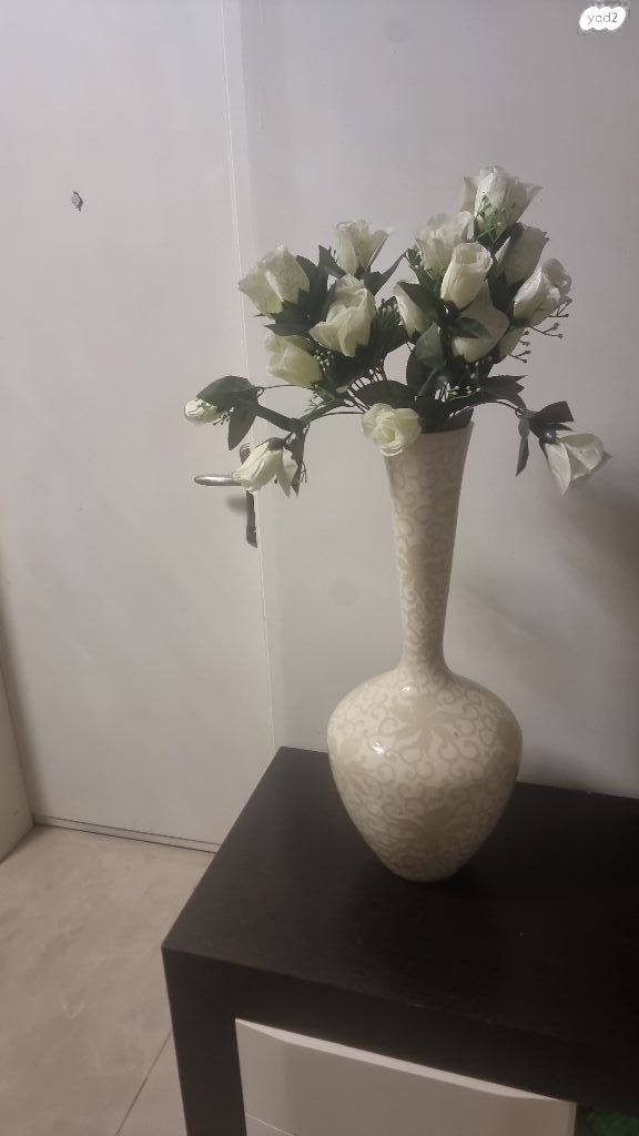 קנקן