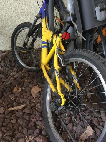אופניים