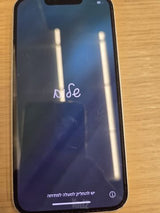 Samsung Galaxy S10+