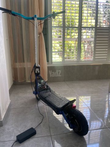 אנוקים אוקס