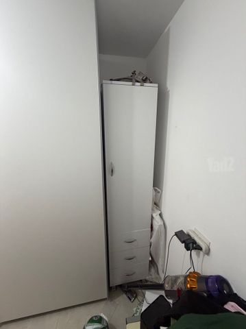 ארונית