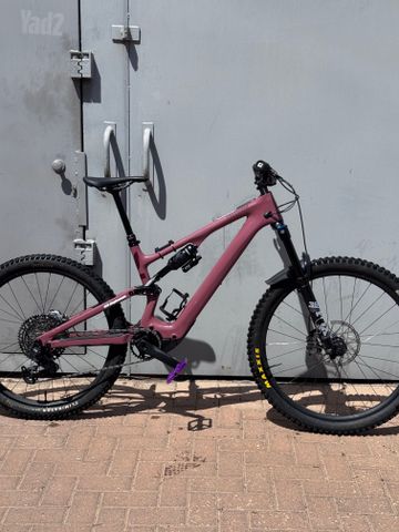 Levo SL 2025