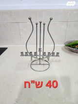חנוכיות ברזיל ופליז ושחוחית