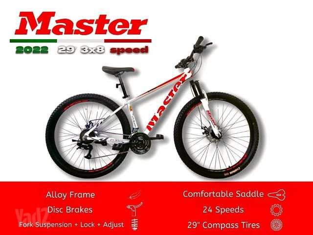 MASTER 29