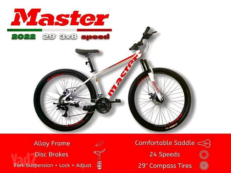 MASTER 29