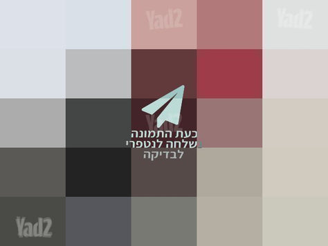 עגלת בוגבו בי 6