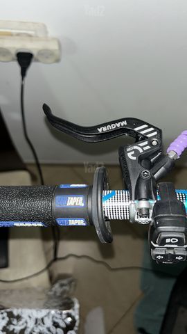 נאמי סטלר 52v