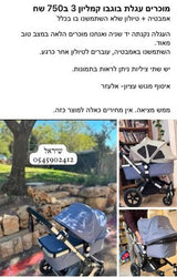 בוגבו קמיליון 3
