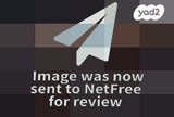שטריימל