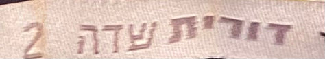 ז׳קט