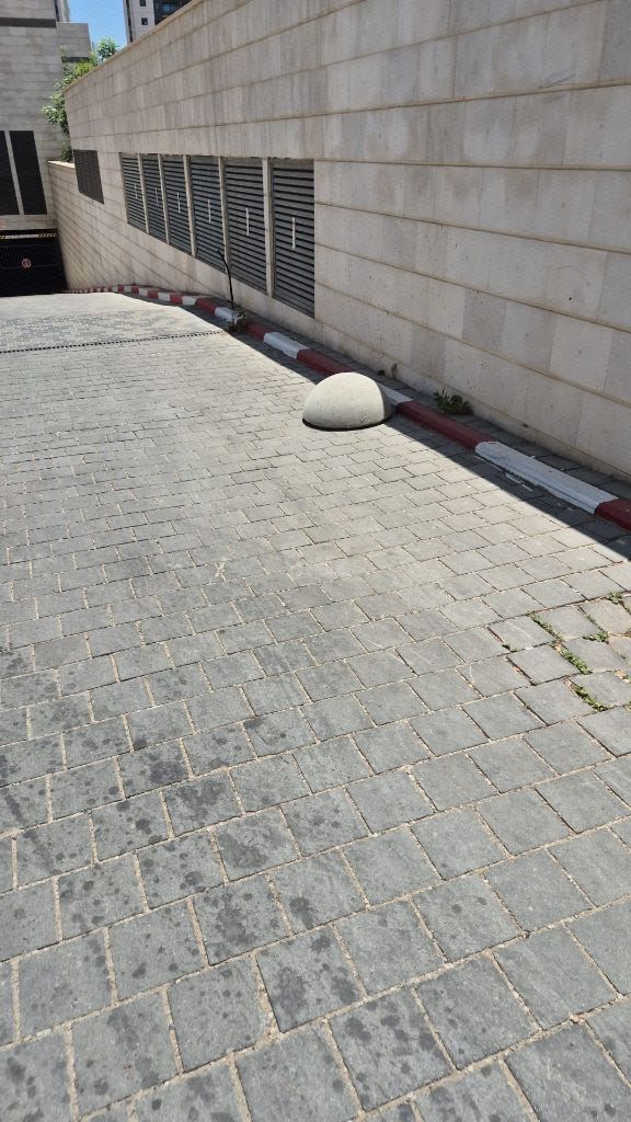 פטריית חניה