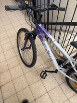 אופני הרים