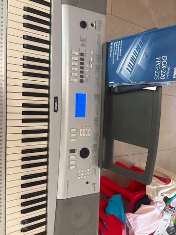 אורגן  yamaha