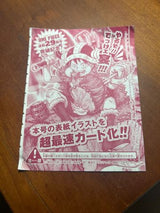 מונקי די לופי Monkey D. Luffy