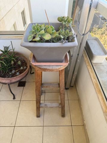 עציץ ומעמד מעץ
