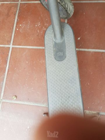 קורקינייט