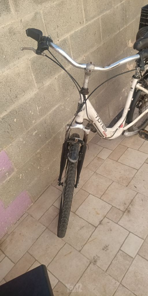 אופני נשים