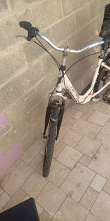 אופני נשים