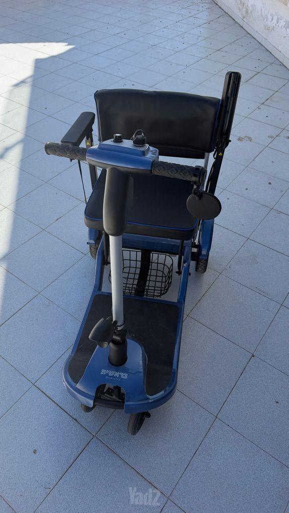 קלנועית בראשית