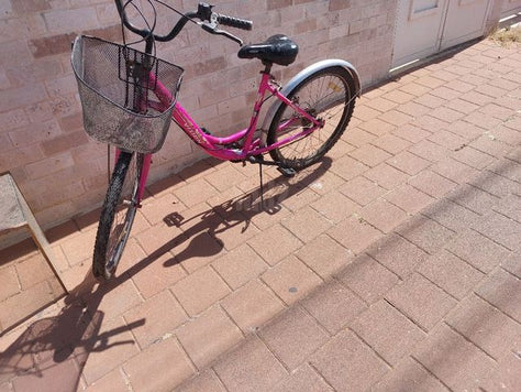 אופני עיר 24 אינצ
