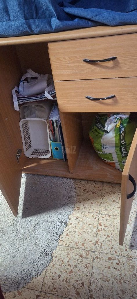 ארונית