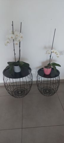 שולחנות צד