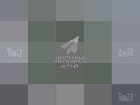 מפיץ ריח