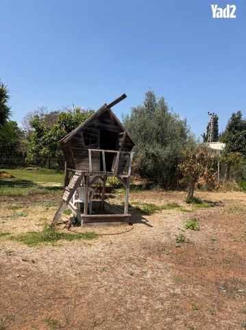 בית עץ לחצר