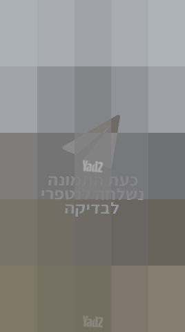 נרגילה