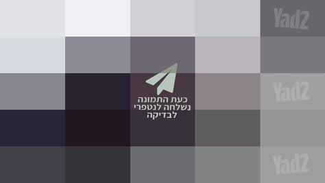 מציאה אופני פעלולים GT