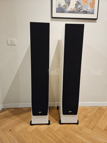 רמקולים רצפתיים PARADIGM