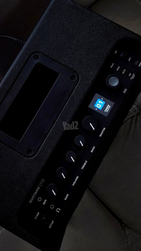 Fender LT25