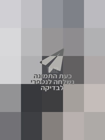הליכון YORK