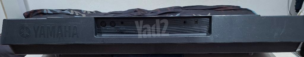 אורגנית    YAMAHA. PSR172