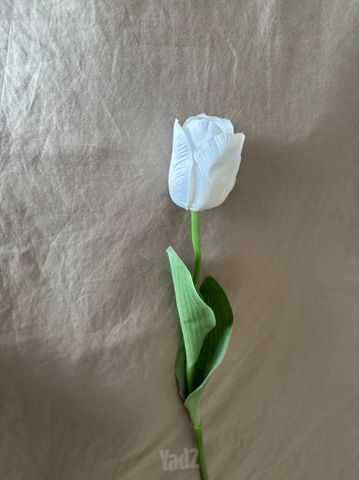 פרחים
